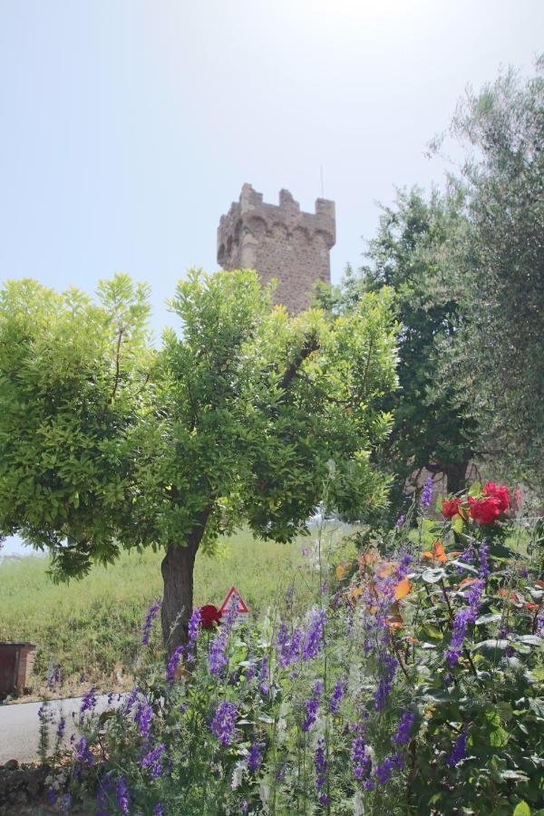 Casa Costa Delle Caserme Montalcino Bagian luar foto